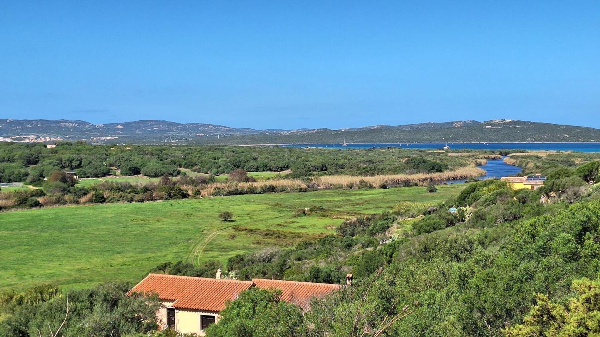 Villa Jana Porto Pollo Esterno foto